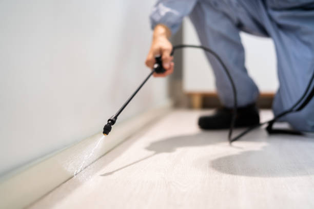 Rodent Entry Point Assessment in Wilton