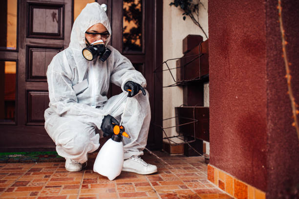 Attic and Crawl Space Rodent Treatment in Wilton