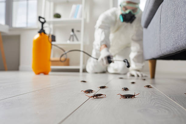Commercial Rodent Management in Wilton
